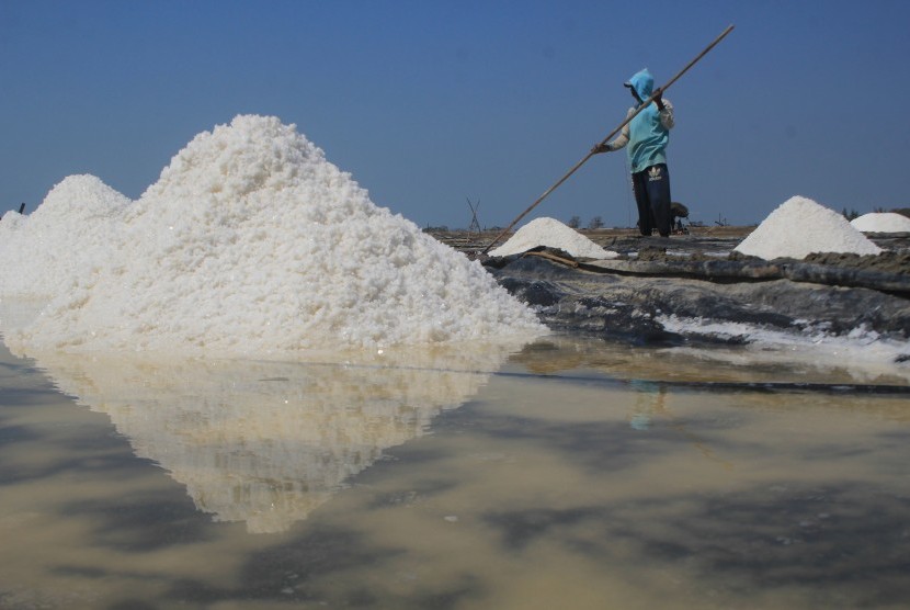 Petambak memanen garam di desa Tanjakan, Krangkeng, Indramayu, Jawa Barat, Rabu (10/7/2019).