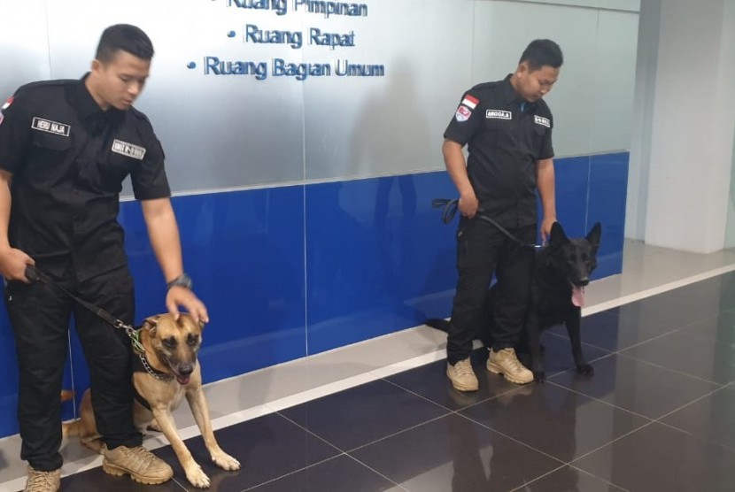 Dua anjing pelacak (K-9) yang membantu pengungkapan kasus 169 kilogram ganja oleb BNNP Jabar. 