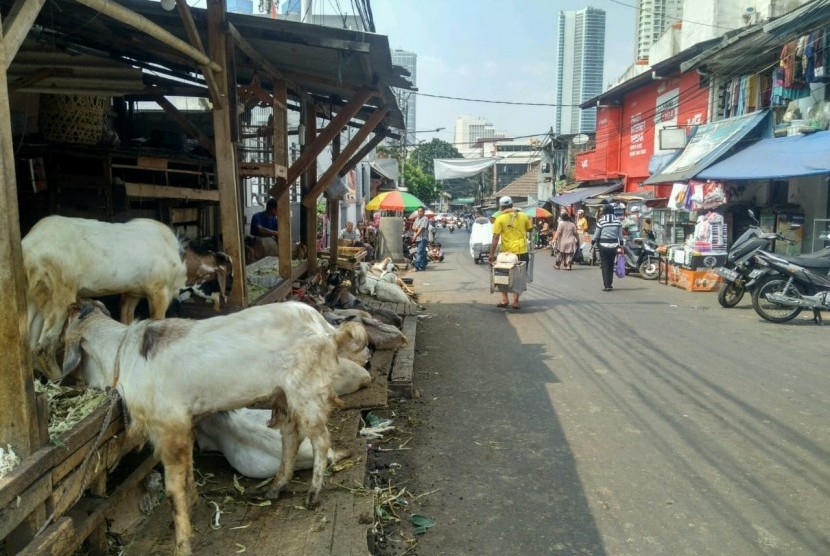 Pedagang hewan kurban di Jalan KH Mas Mansyur, Tanah Abang, Jakarta Pusat, Rabu (17/7).