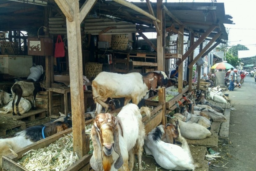 Pedagang hewan kurban di Jalan KH Mas Mansyur, Tanah Abang, Jakarta Pusat, Rabu (17/7).