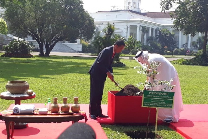 Presiden Joko Widodo dan Putra Mahkota Abu Dhabi Sheikh Mohamed Bkn Zayed Al Nahyan saat melakukan penanaman pohon damar bersama-sama di Istana Kepresidenan Bogor, Jawa Barat, Rabu (24/7). 