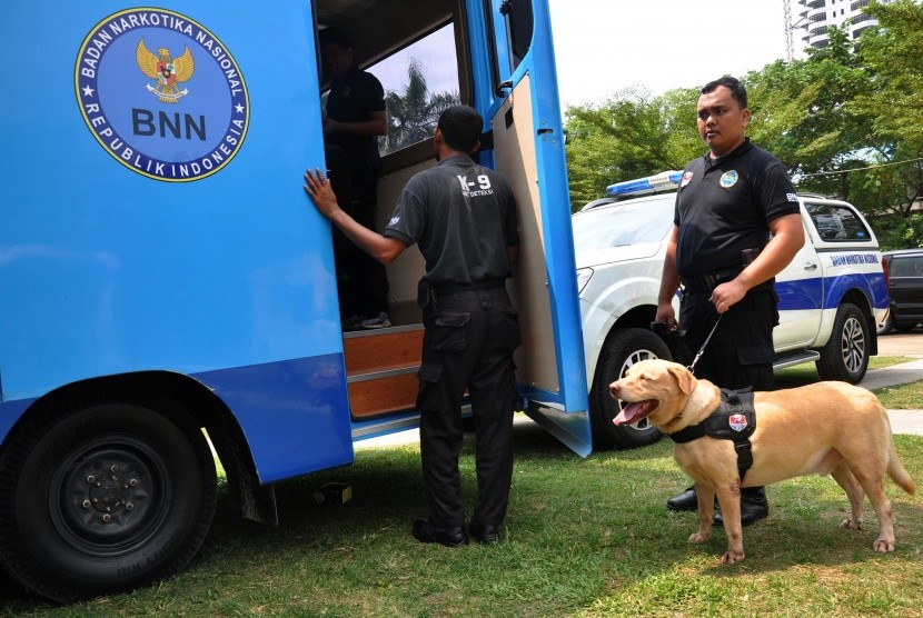 Anjing pelacak K9 jenis Labrador Retriever (ilustrasi). Thailand melatih anjing pelacak untuk mendeteksi Covid-19 melalui keringat manusia. Uji coba ini terbukti hampir 95 persen akurat dan dapat digunakan untuk mengidentifikasi virus korona dalam hitungan detik.