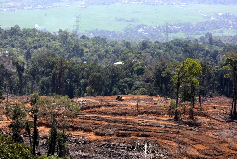 Pembukaan lahan baru untuk pemukiman dan perkebunan di kawasan hutan Geumpang, Pidie, Aceh, Ahad (28/7/2019). Walhi sebut penyusutan hutan Aceh sejak 2017 hingga 2022 akan capai 35 ribu hektare.