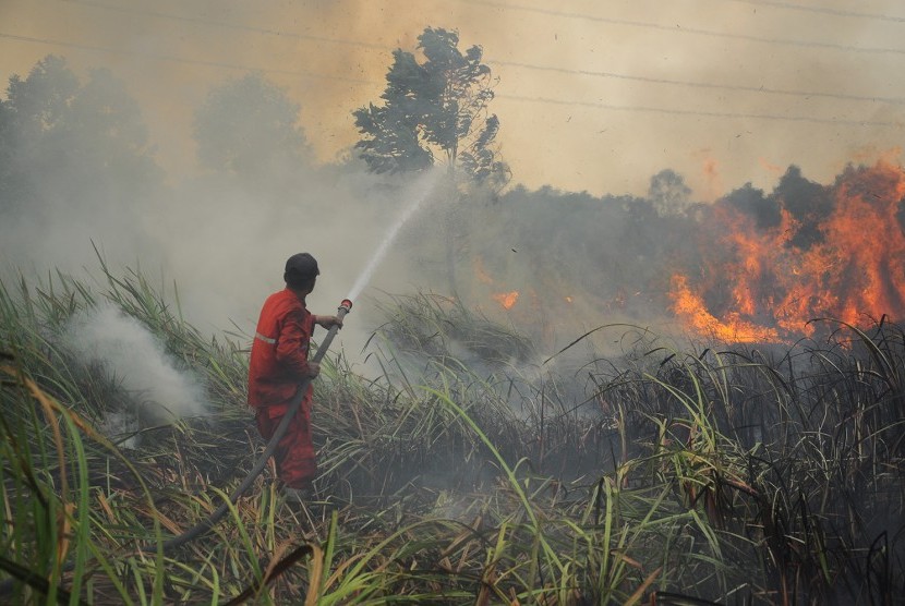 Tim Manggala Agni memadamkan kebakaran lahan gambut di Desa Pulau Semembu, Indralaya Utara, Ogan Ilir, Sumatra Selatan, Senin (5/8/2019). 