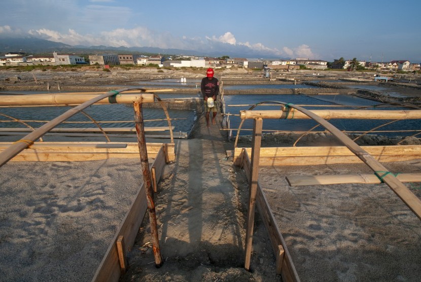 Petani berjalan di antara petakan tambak garam Percontohan Produksi Garam Rakyat Sistem Tunel di Penggaraman Talise Palu, Sulawesi Tengah, Kamis (8/8/2019). 