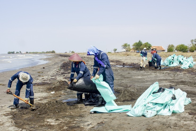 Petugas mengumpulkan tumpahan minyak mentah yang tercecer di Pesisir Pantai Mekarjaya, Karawang, Jawa Barat, Kamis (8/8/2019).