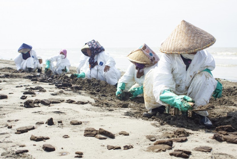 Petugas mengumpulkan tumpahan minyak mentah yang tercecer di Pesisir Pantai Tanjungsari, Karawang, Jawa Barat, Kamis (8/8/2019).