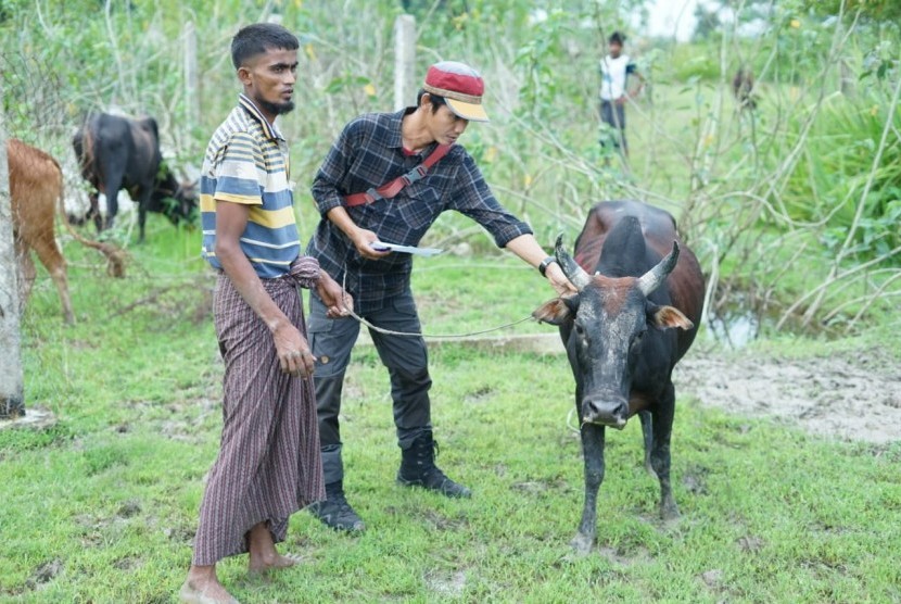 Setelah menempuh perjalanan sekitar 497 Kilometer, akhirnya tim distribusi Tebar Hewan Kurban (THK) Dompet Dhuafa, tiba di Rakhine State, Sittwe Township Myanmar.