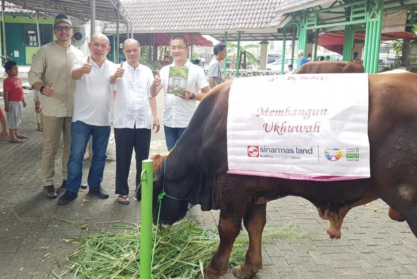 Sinar Mas Land sumbangkan 509 hewan kurban ke sejumlah masjid.