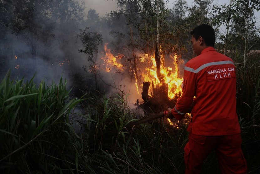 Petugas Manggala Agni memadamkan kebakaran lahan gambut di Desa Sungai Rambutan, Ogan Ilir, Sumatera Selatan.