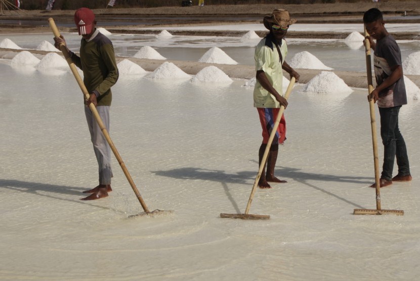 Pekerja sedang meratakan garam di area tambak garam Nunkurus di desa Nunkurus Kabupaten Kupang, NTT (20/8). Provinsi Nusa Tenggara Timur (NTT) cocok menjadi sentra produksi garam industri karena memiliki lahan dan cuaca yang mendukung. 
