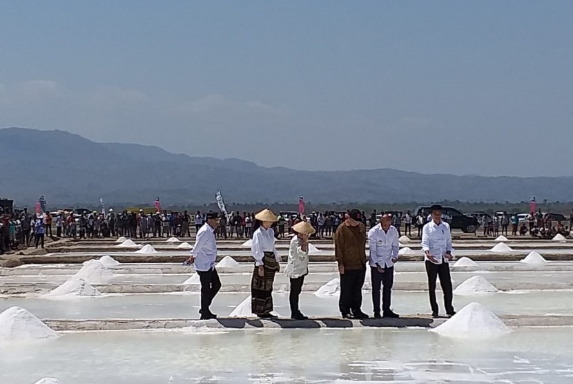Presiden Jokowi tinjau tambak garam di Nunkurus, Kabupaten Kupang, NTT, Rabu (21/8). 