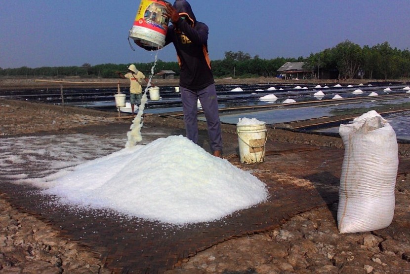 Petambak asal Desa Ciparagejaya, Kecamatan Tempuran, Karawang, sedang memanen garam (foto ilustrasi). 