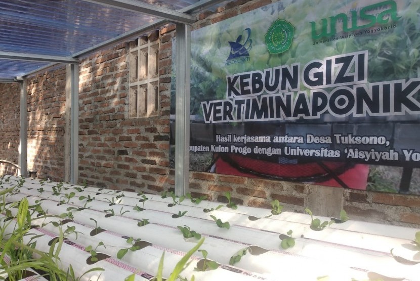Pengembangan kebun gizi vertiminaponik yang dilakukan tiga dosen  Universitas Aisyiyah (Unisa) Yogyakarta kepada masyarakat Desa Tuksono.