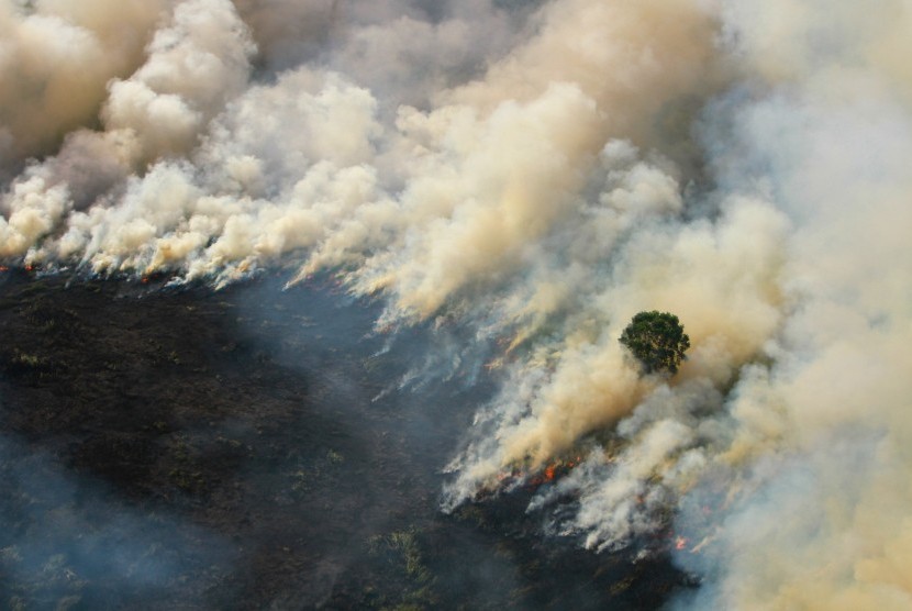 Foto udara api membakar semak belukar ketika terjadi kebakaran hutan dan lahan di Kabupaten Banjar, Kalimantan Selatan, Kamis (29/8/2019).