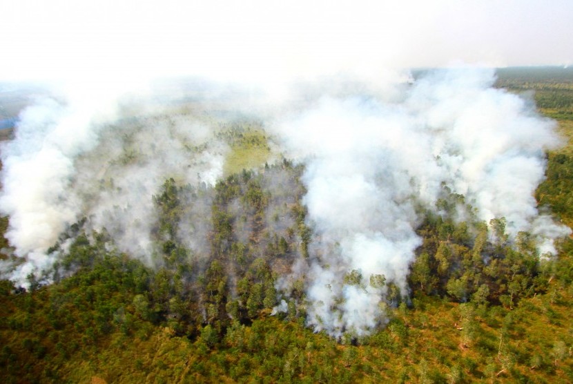 Foto udara api membakar semak belukar ketika terjadi kebakaran hutan dan lahan di Kabupaten Banjar, Kalimantan Selatan, Kamis (29/8/2019).