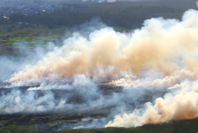 Foto udara kebakaran hutan dan lahan di Kabupaten Tapin, Kalimantan Selatan, Kamis (29/8/2019).