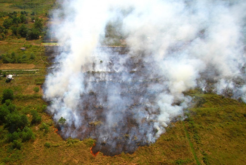 Kebakaran hutan dan lahan (ilustrasi)