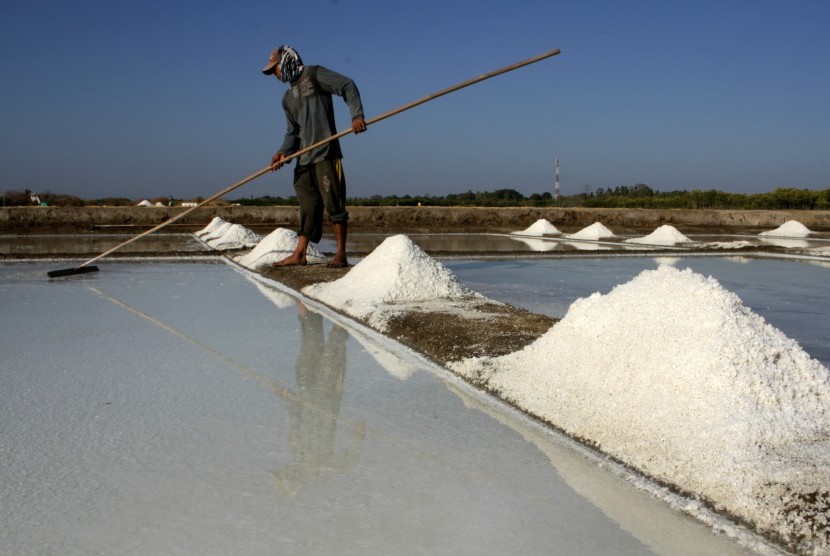 Petani memanen garam miliknya di Desa Bontomanai, Takalar, Sulawesi Selatan, Senin (2/9/2019). 