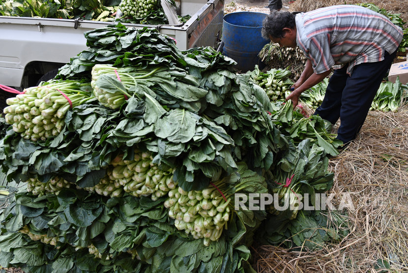 Kalangan petani di Kabupaten Rejang Lebong, Provinsi Bengkulu, mengeluhkan rendahnya harga jual aneka sayuran (Foto: ilustrasi petani sayur)