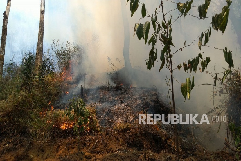 Sekitar 1.5 hektar lahan bagian permukaan di Gunung Patuha, Kabupaten  Bandung terbakar. Kondisi saat ini, api sudah mulai terkendali dan tidak  menyebar lebih luas. Belum diketahui penyebab kebakaran namun musim kemarau  diduga menjadi salah satu faktor penyebabnya. 