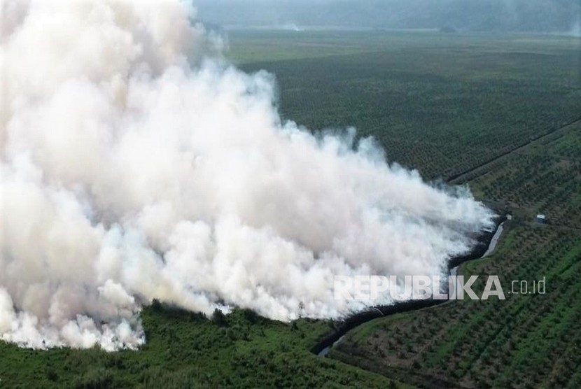 Foto udara kebakaran lahan di arel perkebunan sawit 