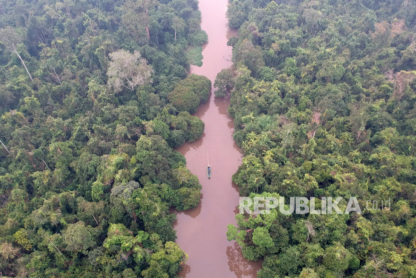 Pengunjung berada di rumah pohon yang menjadi salah satu sarana penunjang wisata dalam kawasan Taman Nasional Berbak dan Sembilang (TNBS), Tanjungjabung Timur, Jambi, Ahad (15/9/2019).