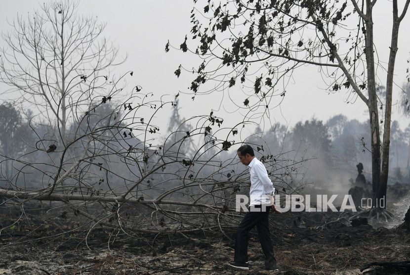 Presiden Joko Widodo meninjau penanganan kebakaran hutan dan lahan di Desa Merbau, Kecamatan Bunut, Pelalawan, Riau, Selasa (17/9/2019). 