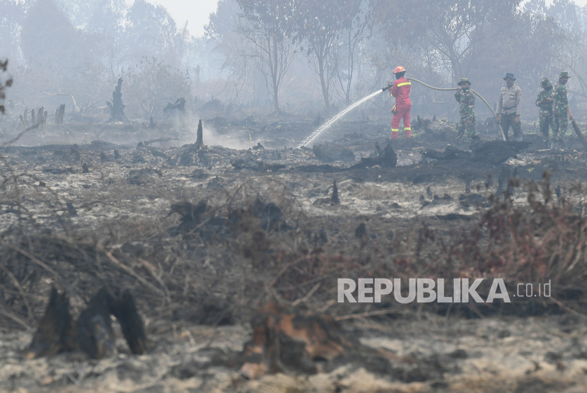 Kebakaran hutan dan lahan (karhutla) di Pelalawan, Riau (ilustrasi).