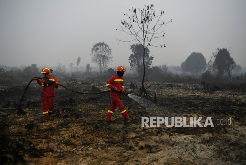 Petugas menangani kebakaran hutan dan lahan di Desa Merbau, Kecamatan Bunut, Pelalawan, Riau. Pemerintah Provinsi Riau akan gelar rapat tetapkan status siaga darurat karhutla. Ilustrasi.