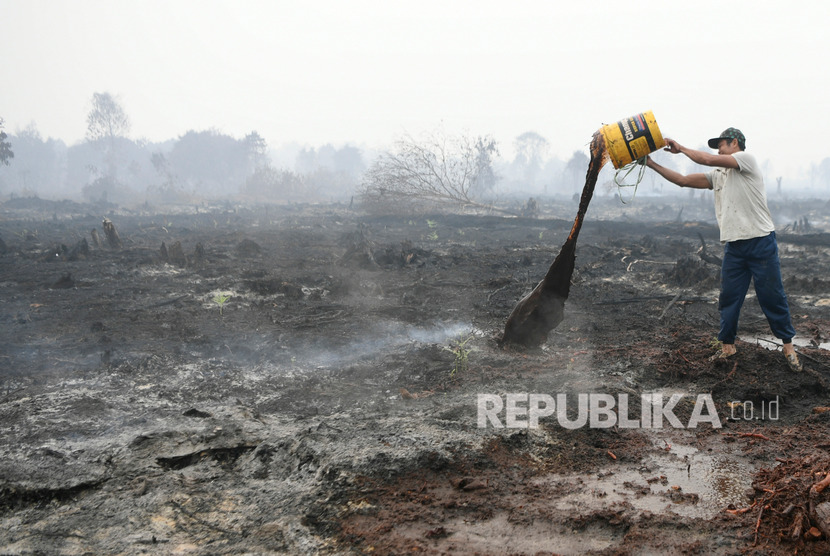 Warga memadamkan sisa kebakaran hutan dan lahan di Desa Merbau, Kecamatan Bunut, Pelalawan, Riau, Selasa (17/9/2019).