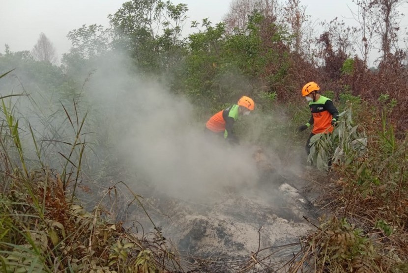 Karhutla (Ilustrasi). BMKG memantau ada 18 titik api yang tersebar di lima kabupaten/kota di Riau.