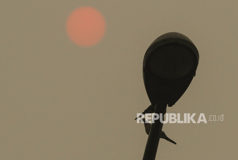 Dua ekor burung bertengger di atas tiang lampu penerangan jalan dengan latar belakang matahari yang terlihat samar akibat pekatnya kabut asap karhutla di Pekanbaru, Riau, Ahad (22/9). Kabut asap telah menyebar ke wilayah lain di Sumatra, seperti Sumatra Barat.