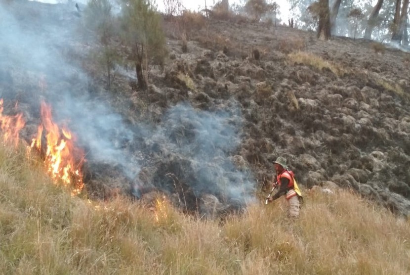 Petugas dan tim Balai Besar Taman Nasional Bromo, Tengger dan Semeru (BB TNBTS) melakukan koordinasi dan pemadaman di titik api baru pada jalur pendakian Gunung Semeru.