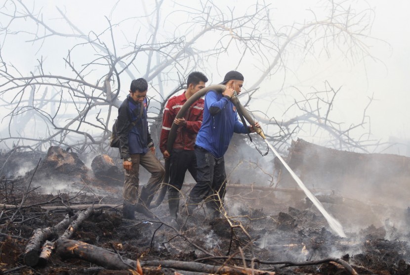 Satgas Karhutla dari TNI, Polri bersama relawan pemadam kebakaran berupaya memadamkan kebakaran lahan yang menjalar ke tumpukkan ban bekas di Kecamatan Gambut, Kabupaten Banjar, Kalimantan Selatan, Selasa (22/10/2019).