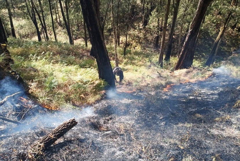 Petugas masih berupaya memadamkan api kebakaran di Gunung Arjuno sejak akhir pekan lalu. 