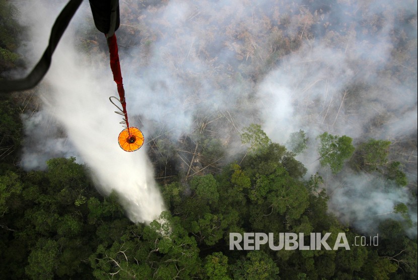 Kebakaran hutan di Kereng Bangkirai, Taman Nasional Sebangau, Palangkaraya, Kalimantan Tengah. (Ilustrasi)