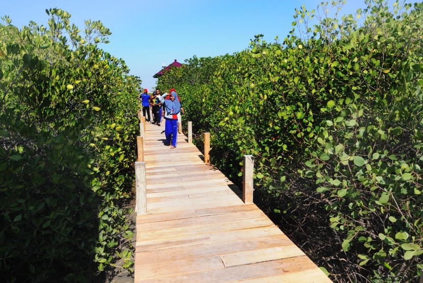 Warga mengunjungi lokasi wisata edukasi hutan mangrove yang masih dalam tahap penyelesaian di Pantai Lembung, Pamekasan, Jawa Timur.
