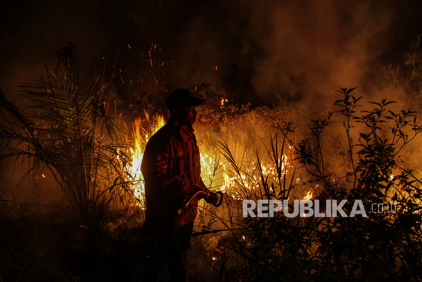 Petugas BPBD Kota Pekanbaru memadamkan api yang membakar lahan gambut di Pekanbaru, Riau, Ahad (6/10/2019) malam.