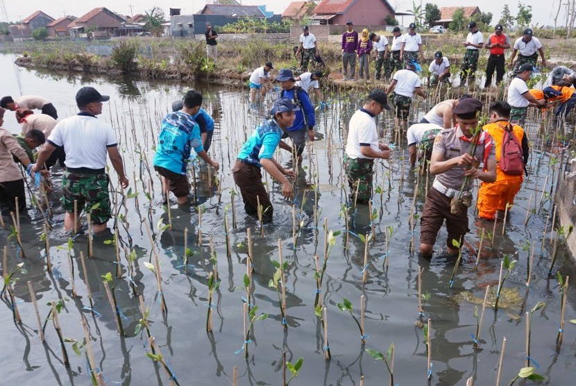 Sejumlah anggota TNI, Polri dan masyarakat, menanam tanaman bakau di lokasi mangrove Tratebang, Kabupaten Pekalongan, Jawa Tengah.