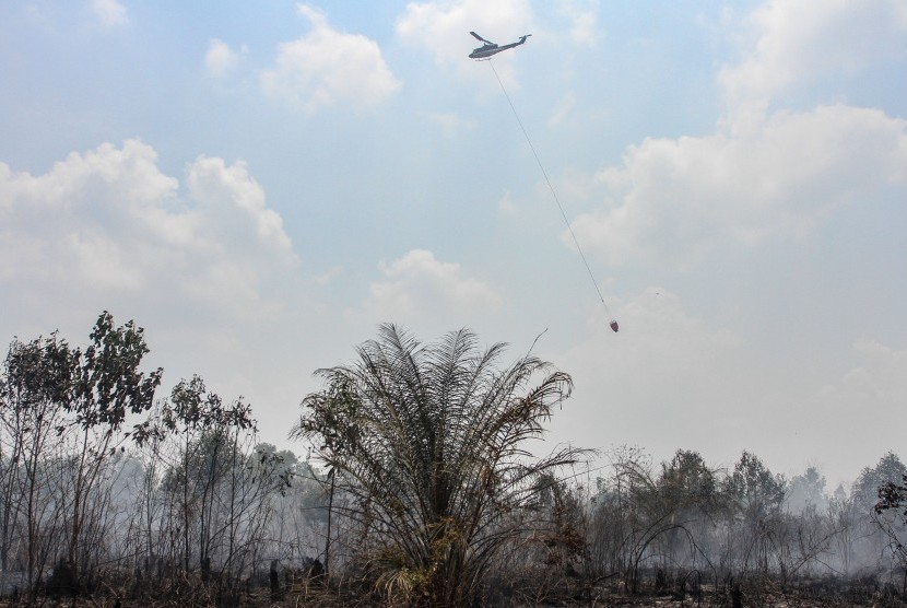 Helikopter Badan Nasional Penanggulangan Bencana (BNPB) melakukan 'water bombing' di atas lahan gambut yang terbakar di Pekanbaru, Riau, Senin (7/10/2019). 