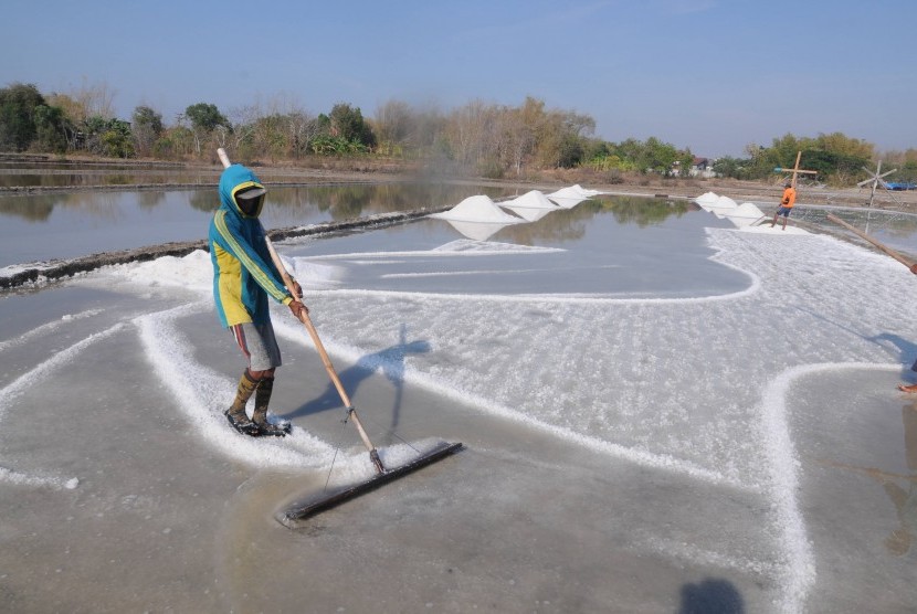 Petani memanen garam di Desa Bunder, Pamekasan, Jawa Timur, Selasa (8/10/2019).