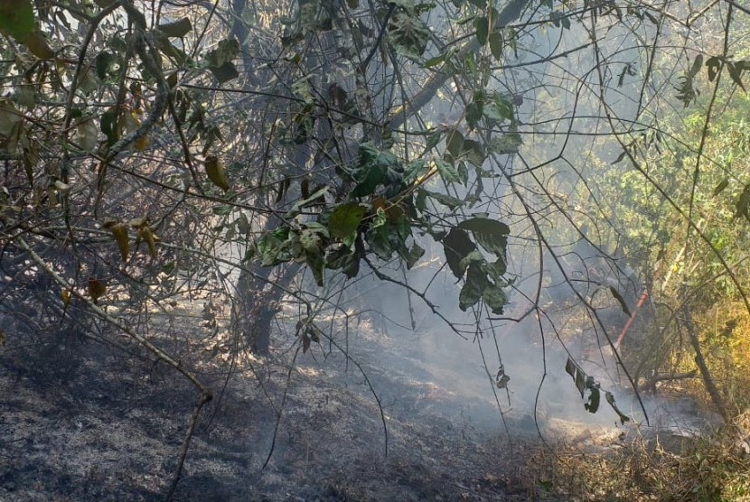 Kebakaran di kawasan Semeru masih tersisa satu titik.