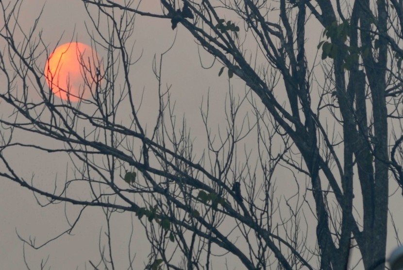 Matahari terlihat diselimuti kabut asap karhutla di Muara Sabak Barat, Tanjungjabung Timur, Jambi, Rabu (9/10/2019).