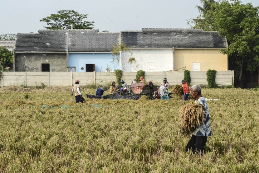 Sejumlah petani menggiling padi di Cikarang, Kabupaten Bekasi, Jawa Barat.