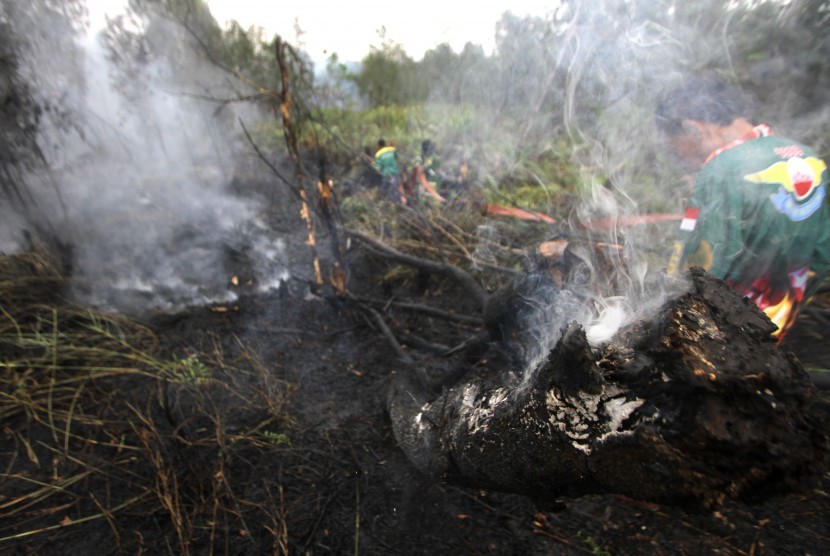 30 Hektare Lahan Gambut di Aceh Jaya Terbakar.