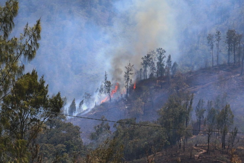 Kebakaran Gunung Ranti terlihat dari Paltuding, Gunung Ijen, Banyuwangi, Jawa Timur, Selasa (22/10/2019).