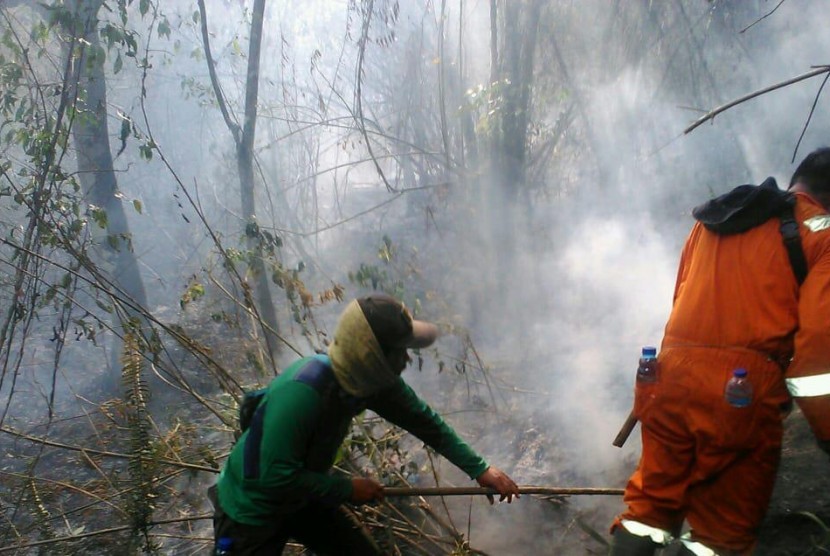 (ILUSTRASI) Upaya pemadaman kebakaran hutan dan lahan di kawasan Gunung Guntur, Kabupaten Garut.