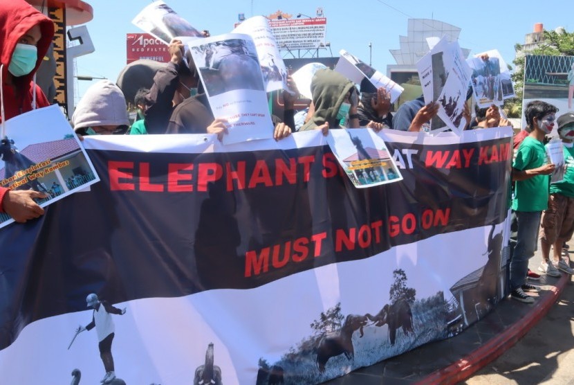 Aktivis Masyarakat Anti-Sirkus Hewan Indonesia menolak eksploitasi dan penyiksaan gajah pada Festival Way Kambas di Bundaran Tugu Adipura Kota Bandar Lampung, Kamis (7/11).