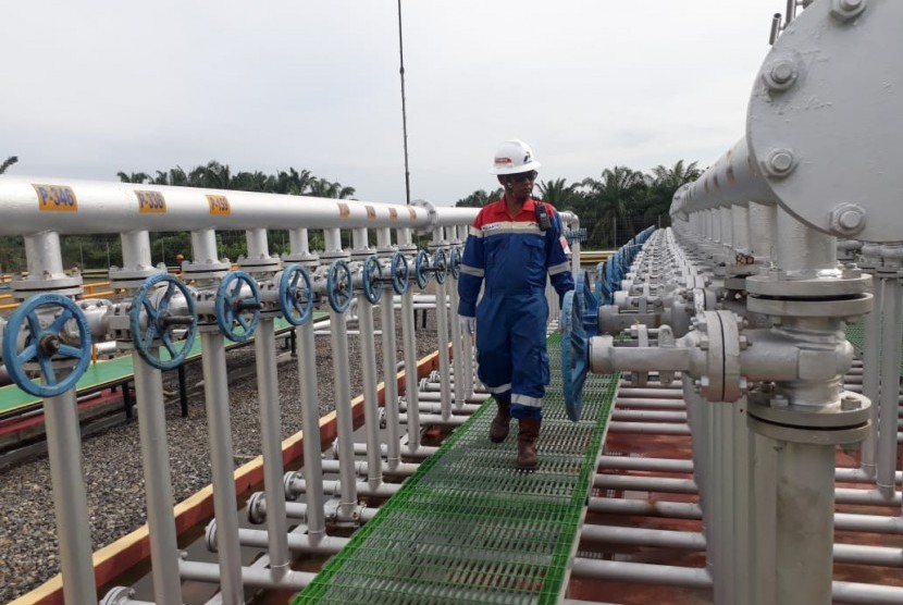 PT Pertamina EP Asset 1 Rantau Field di Aceh Tamiang hingga Oktober  2019 telah memproduksi minyak mentah sebesar 3.163 Barel Oil Per Day (BOPD) atau  118,3 persen, lebih tinggi dari target untuk 2019 sebesar 2.938 BOPD atau 103,5 persen.  Begitu juga produksi gas sudah mencapai 3,6 Mile Standard Cubic Feet per Day (MMSCFD) atau 104,4 persen, lebih tinggi dari target yang ditetapkan untuk 2019 sebesar 3,5 MMSCFD atau 101,9 persen.